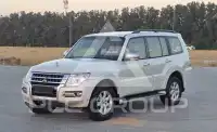 2019 Mitsubishi PAJARO