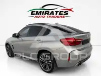 2019 BMW X6