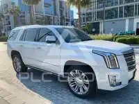 2019 Cadillac ESCALADE