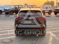 2019 Lexus NX300