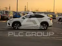 2019 Lexus NX300