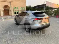 2019 Lexus NX300
