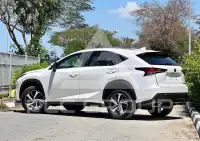 2019 Lexus NX300