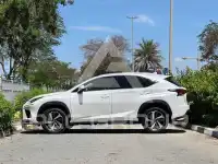 2019 Lexus NX300