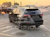 2019 Lexus NX300