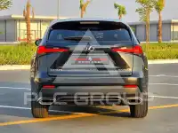 2019 Lexus NX300