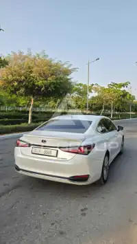 2019 Lexus ES300