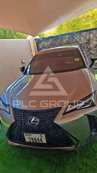 2019 Lexus UX
