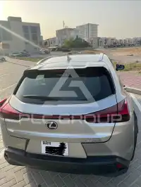 2019 Lexus UX
