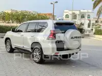 2019 Toyota Prado