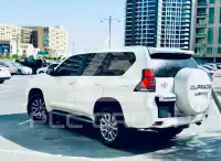 2019 Toyota Prado