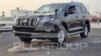 2019 Toyota Prado