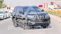2019 Toyota Prado
