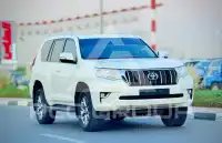 2019 Toyota Prado