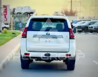 2019 Toyota Prado
