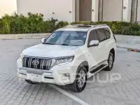 2019 Toyota Prado