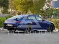 2019 Mercedes Benz GT