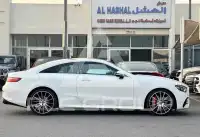 2019 Mercedes Benz E 300