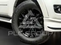 2020 Mitsubishi PAJARO