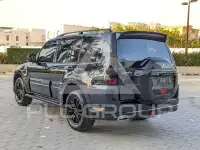 2020 Mitsubishi PAJARO