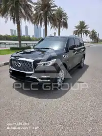 2020 Infinity QX80