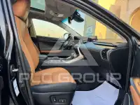 2020 Lexus NX300