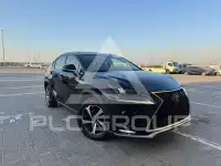 2020 Lexus NX300