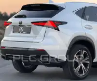2020 Lexus NX300