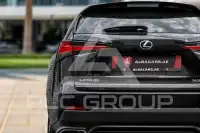 2020 Lexus NX300