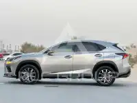 2020 Lexus NX300