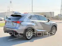 2020 Lexus NX300