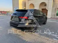 2020 Lexus NX300