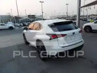 2020 Lexus NX300