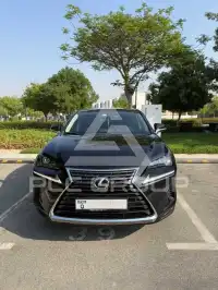 2020 Lexus NX300