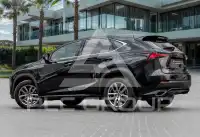 2020 Lexus NX300