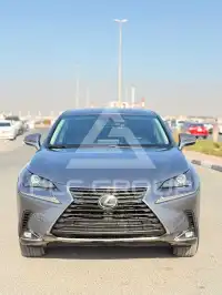 2020 Lexus NX300