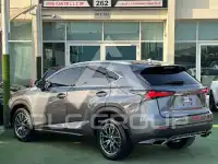 2020 Lexus NX300