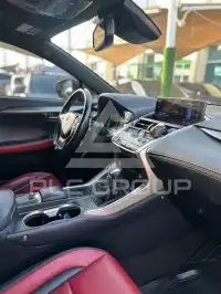 2020 Lexus NX300