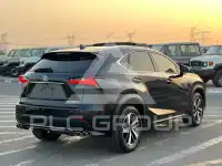 2020 Lexus NX200T