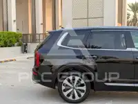 2020 KIA Telluride