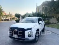 2020 Hyundai Palisade