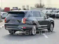 2020 Hyundai Palisade