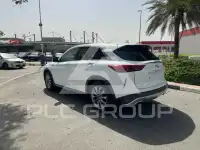 2021 Infinity QX50