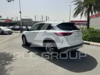 2021 Infinity QX50