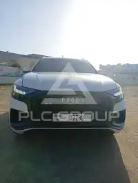 2021 Audi Q8