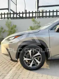 2021 Lexus NX300