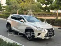 2021 Lexus NX300