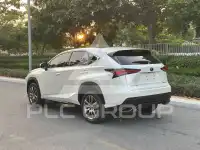 2021 Lexus NX300