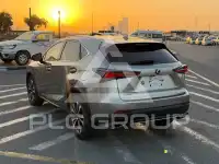 2021 Lexus NX300