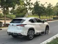 2021 Lexus NX300